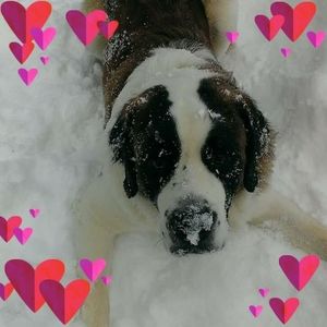 Meet your Posher, Annette